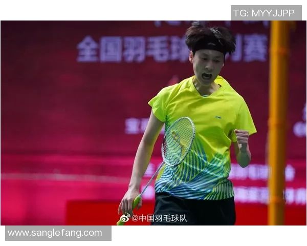 重庆羽毛球队精英赛个人能力分析与表现评估