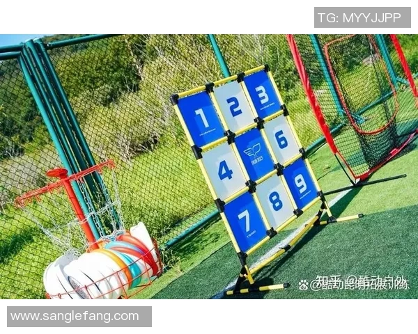 陈伟独家分享飞盘技巧与心得体会助你提升飞盘水平的实用指南