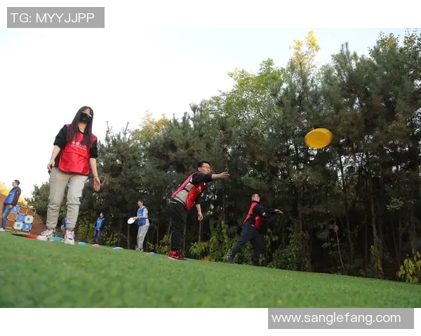 飞盘意识排行榜发布深圳飞盘队荣获第九名引发关注