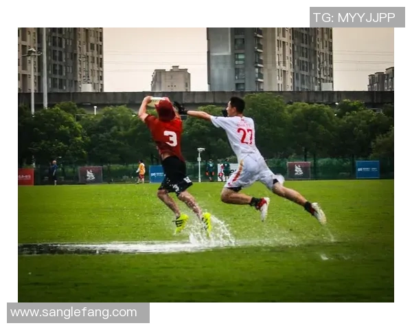 飞盘力量榜单揭晓杭州飞盘队荣获第二名展现强大实力