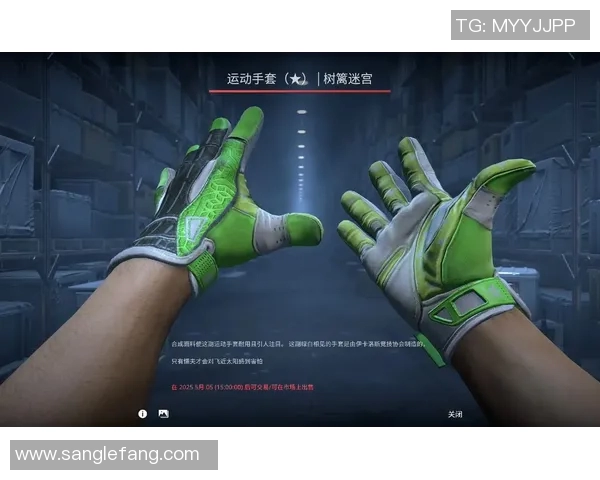 陈敏独家揭秘CSGO游戏技巧与心得分享助你提升竞技水平