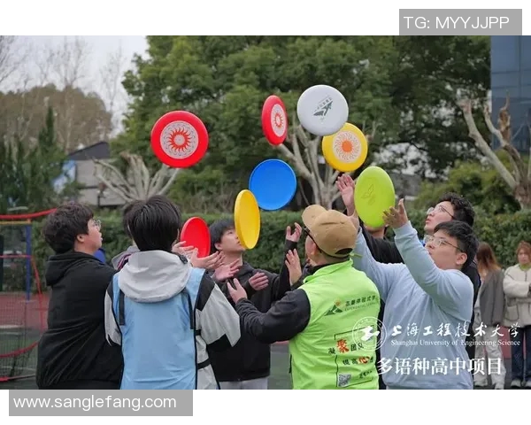 飞盘盛宴揭秘杭州飞盘队实力与魅力的全景探索