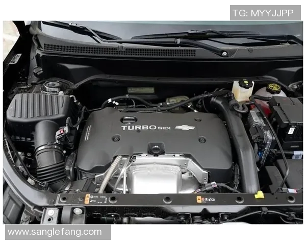 奥德与布兰激战正酣谁能在这场对决中笑到最后