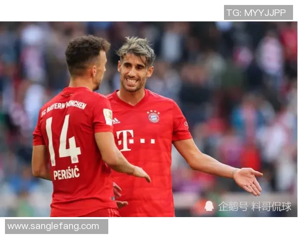 德甲精彩对决霍芬海姆迎战强敌拜仁慕尼黑直播盛况不容错过