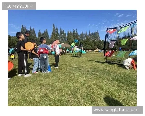 飞盘飞扬北京飞盘队的成长与挑战之路