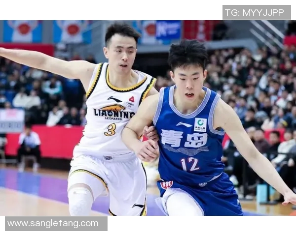 CBA辽宁队与青岛队精彩对决回放全场比赛精彩瞬间回顾